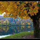 Herbst am Ulmener Maar