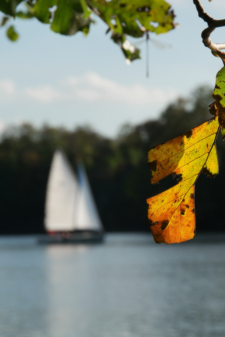 Herbst am Unterbacher See