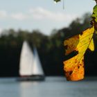 Herbst am Unterbacher See