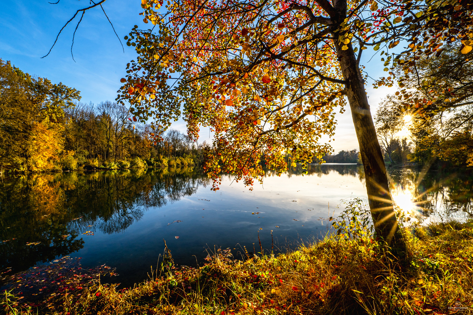 Herbst am Unterföhringer See