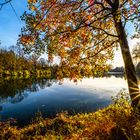 Herbst am Unterföhringer See