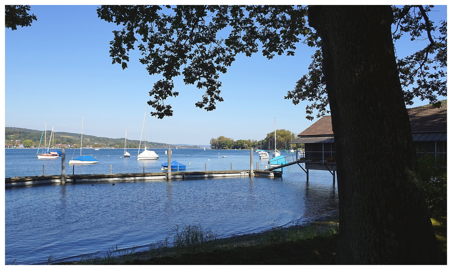 Herbst am Untersee