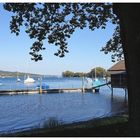 Herbst am Untersee