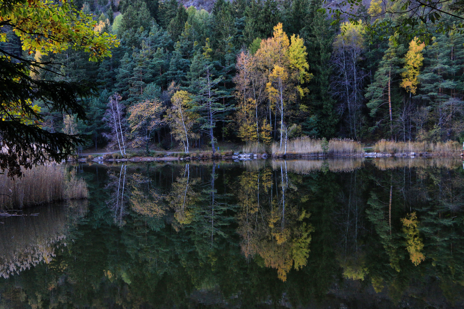 Herbst am Vahrner See