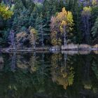 Herbst am Vahrner See