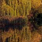 Herbst am Valznerweiher