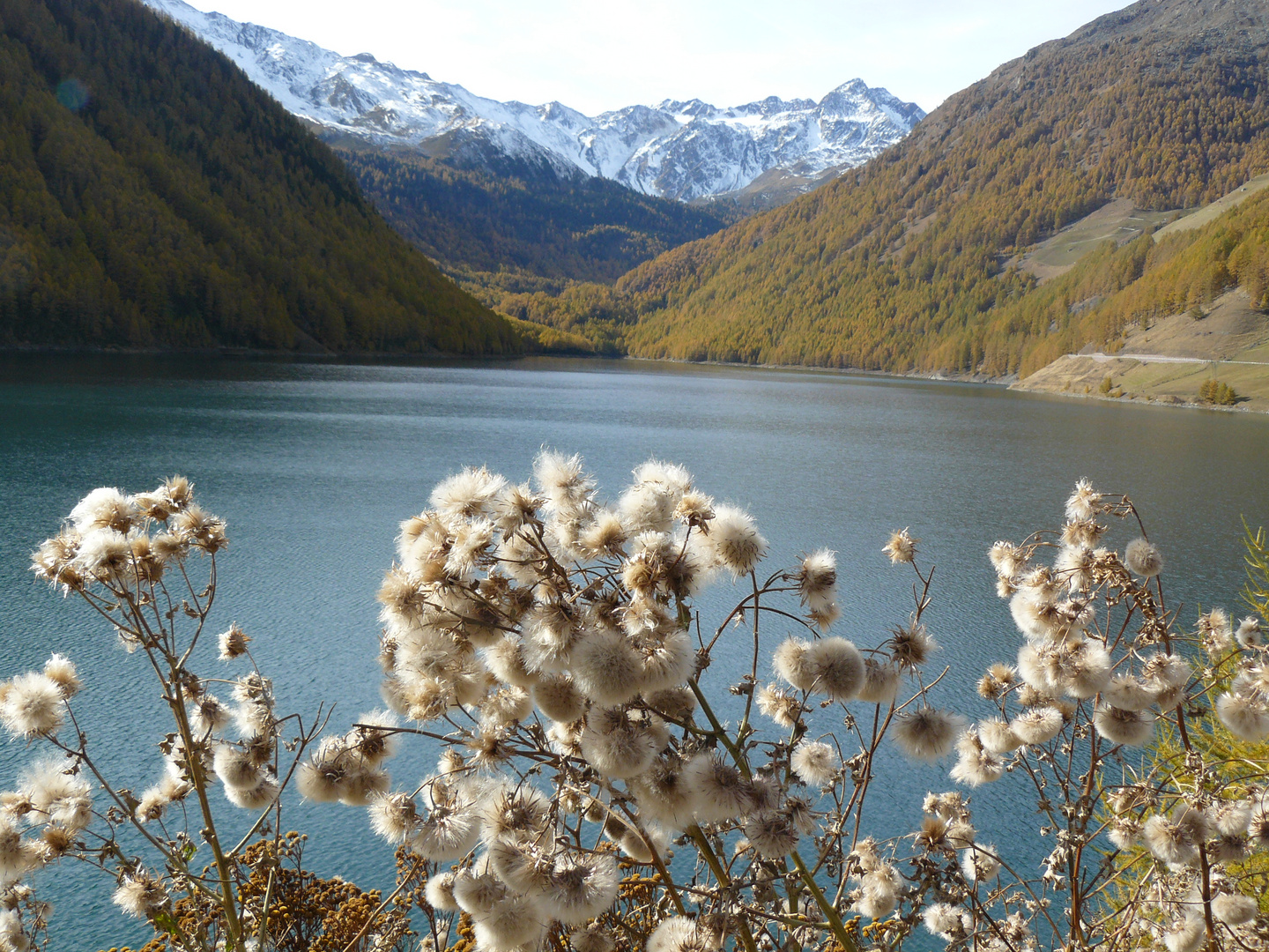 Herbst am Vernagt-Stausee im Schnalstal