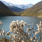 Herbst am Vernagt-Stausee im Schnalstal