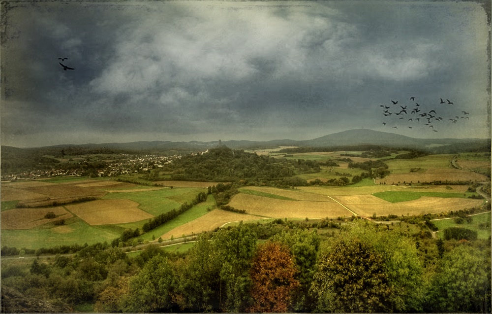 Herbst am Vetzberg