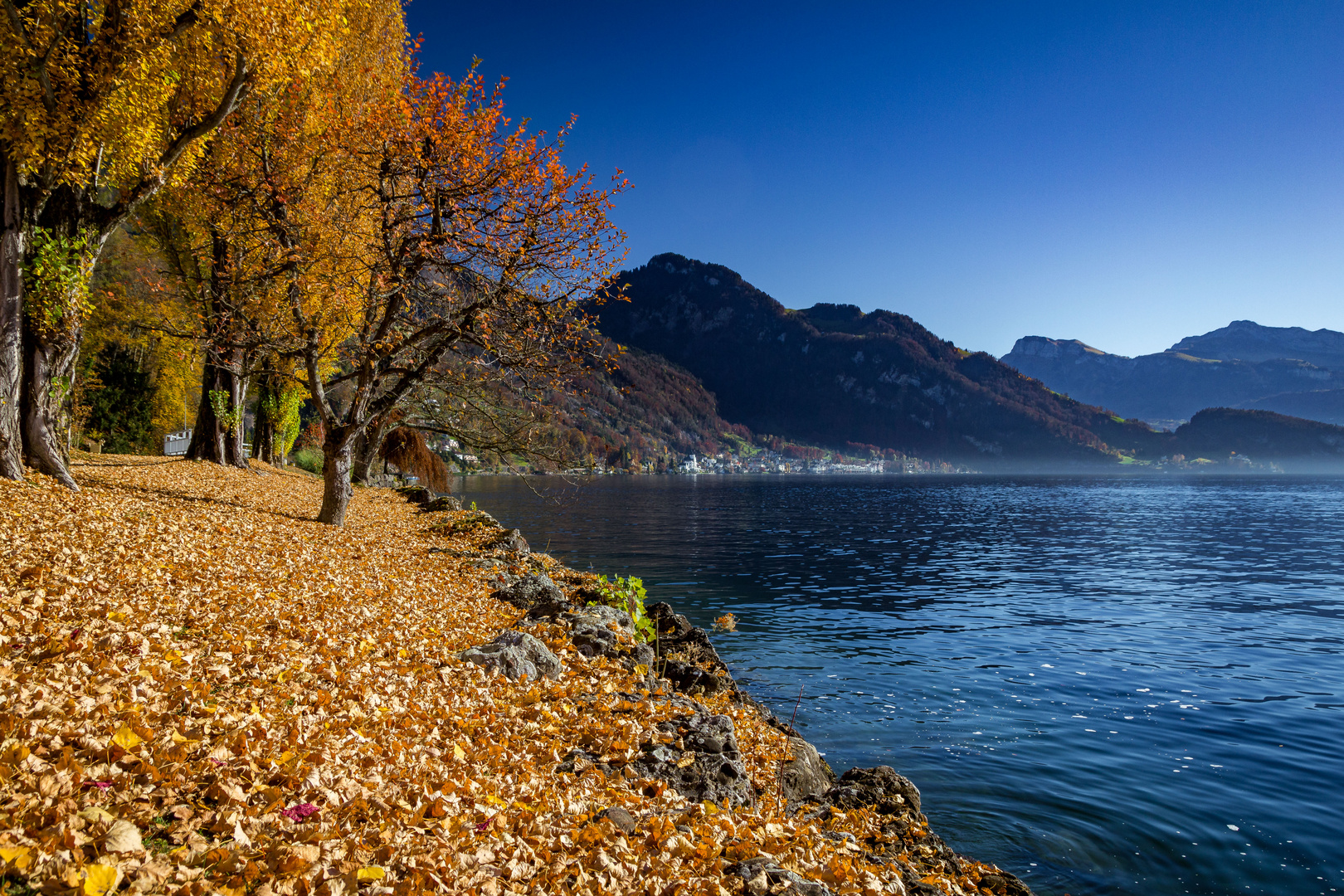 Herbst am Vierwaldtstätter See