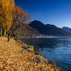 Herbst am Vierwaldtstätter See