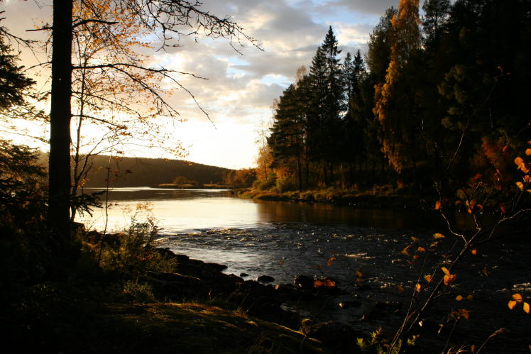 Herbst am Vindeälven