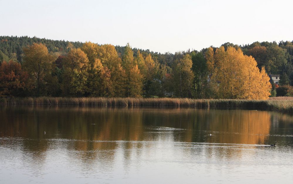 Herbst am Vogelschutzteich