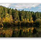 Herbst am Vorbecken Weißbach