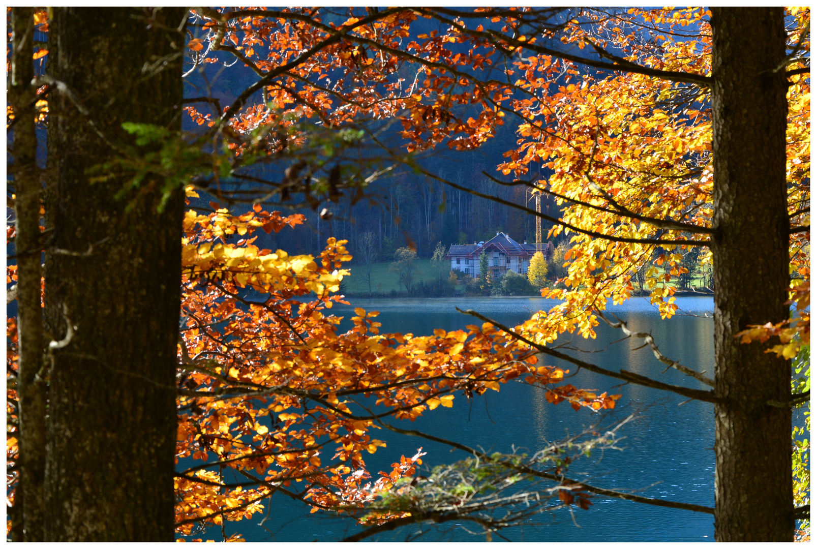 Herbst am Vorderen Langbathsee.