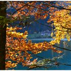 Herbst am Vorderen Langbathsee.