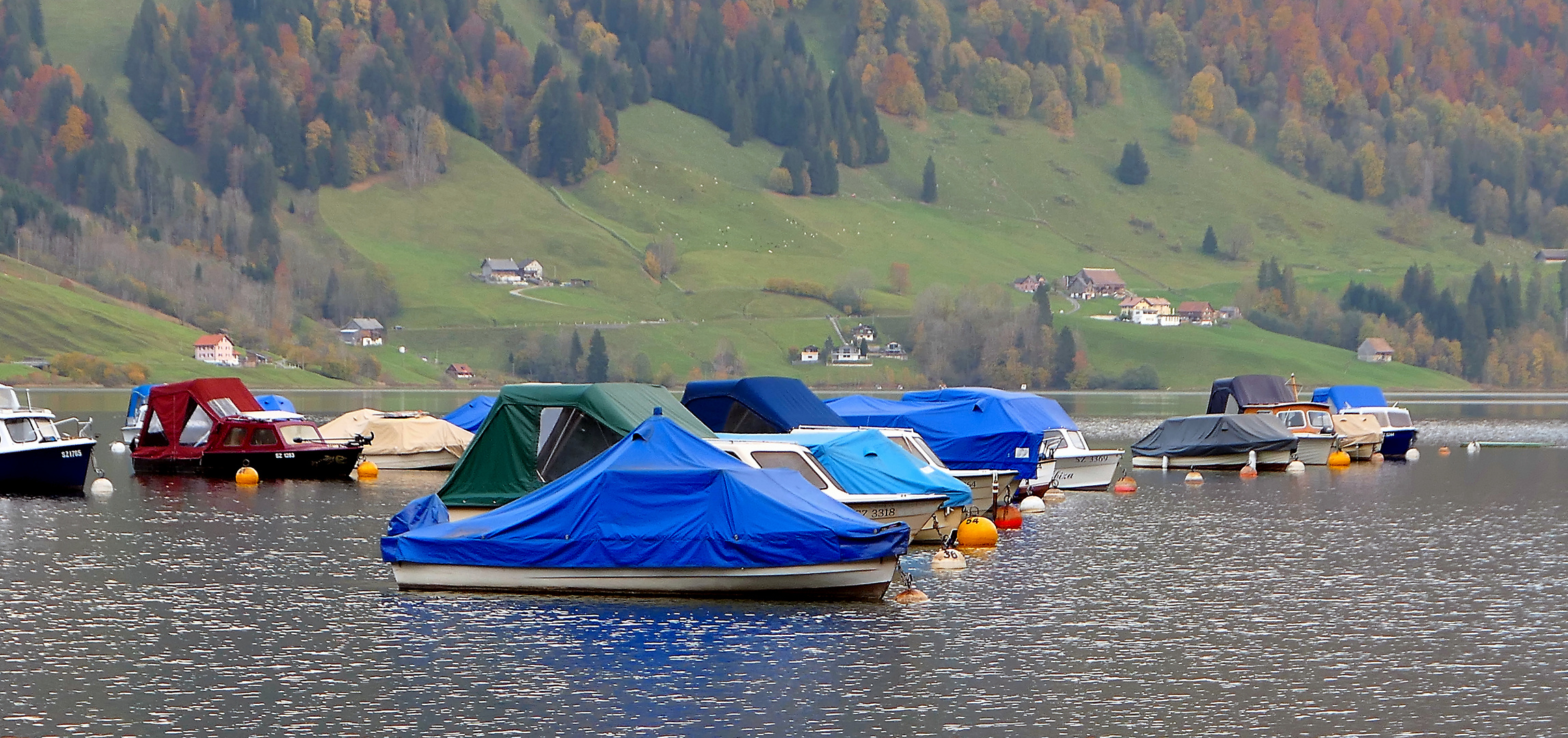 Herbst am Wägitalersee 4