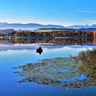 Herbst am Waginger See