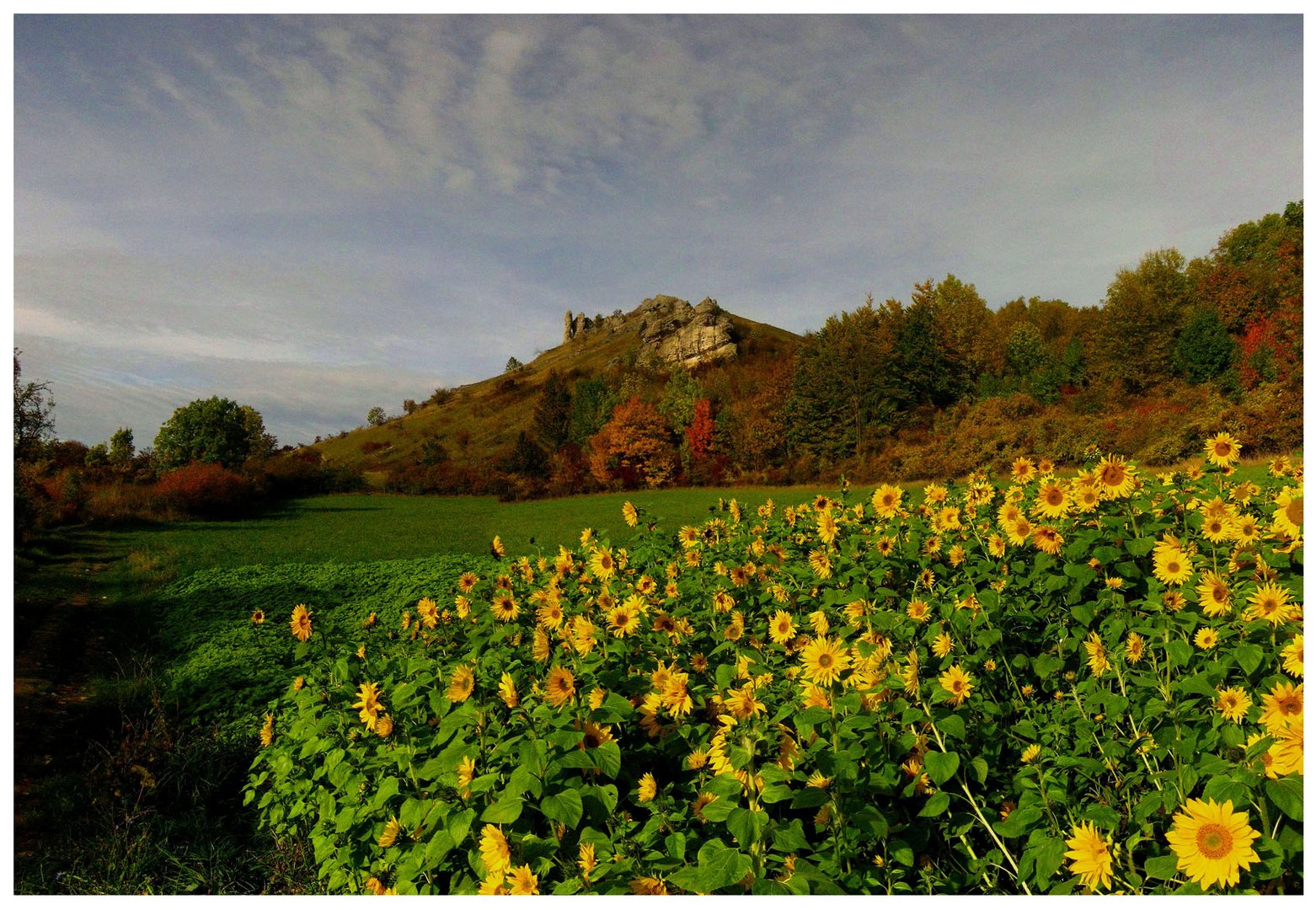 Herbst am Walberla