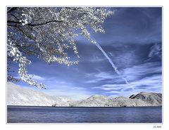 Herbst am Walchensee