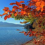 Herbst am Walchensee