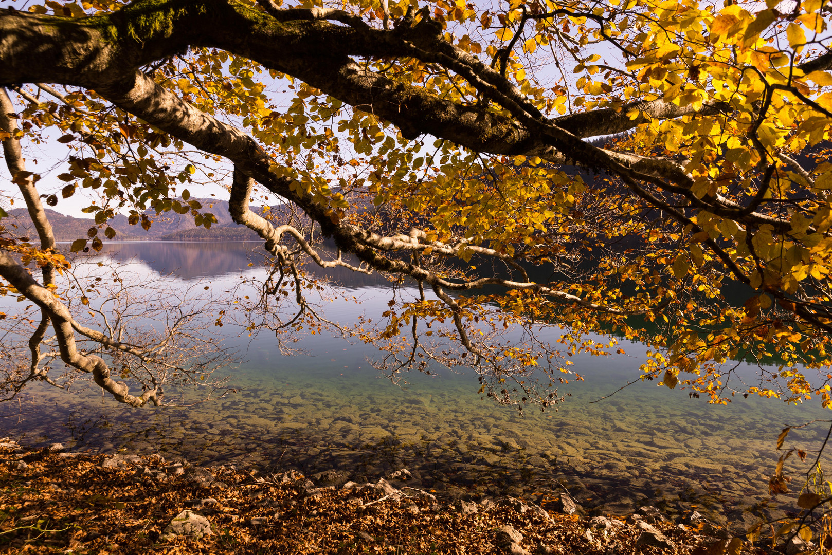 Herbst am Walchensee