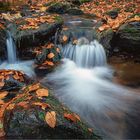 Herbst am Waldbach