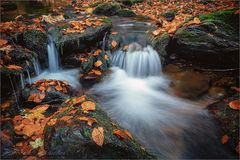 Herbst am Waldbach