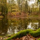 Herbst am Waldsee 2
