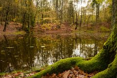 Herbst am Waldsee 2