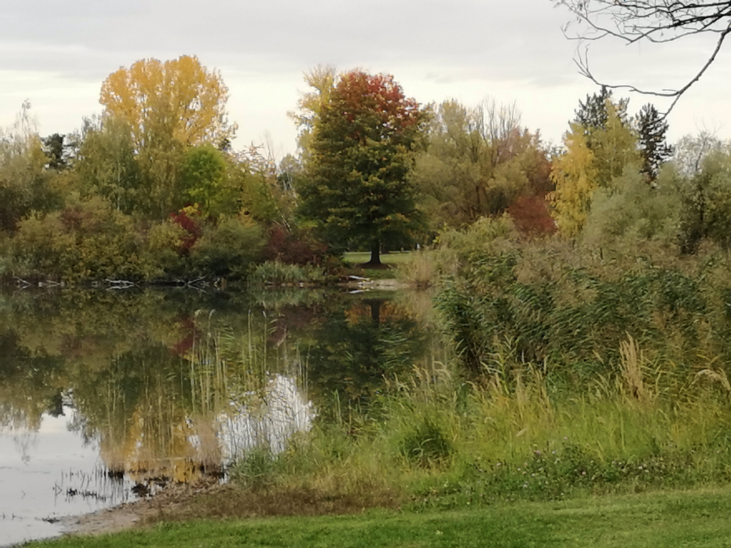 Herbst am Waldsee