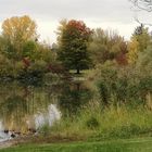 Herbst am Waldsee