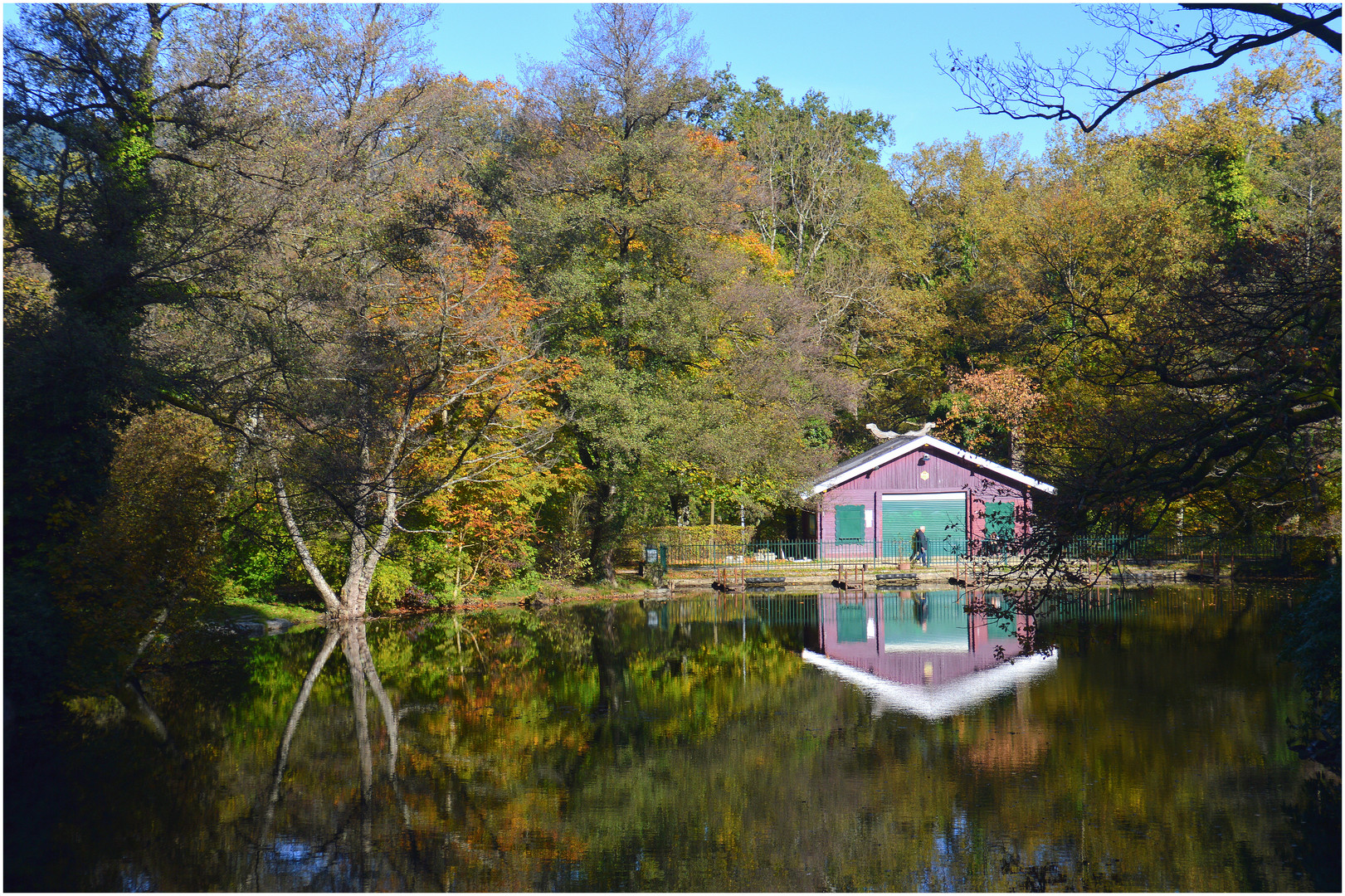 Herbst am Waldsee