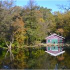 Herbst am Waldsee