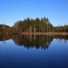 Herbst am Waldsee