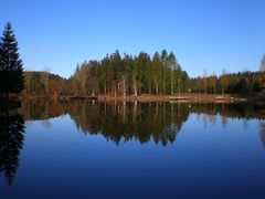 Herbst am Waldsee