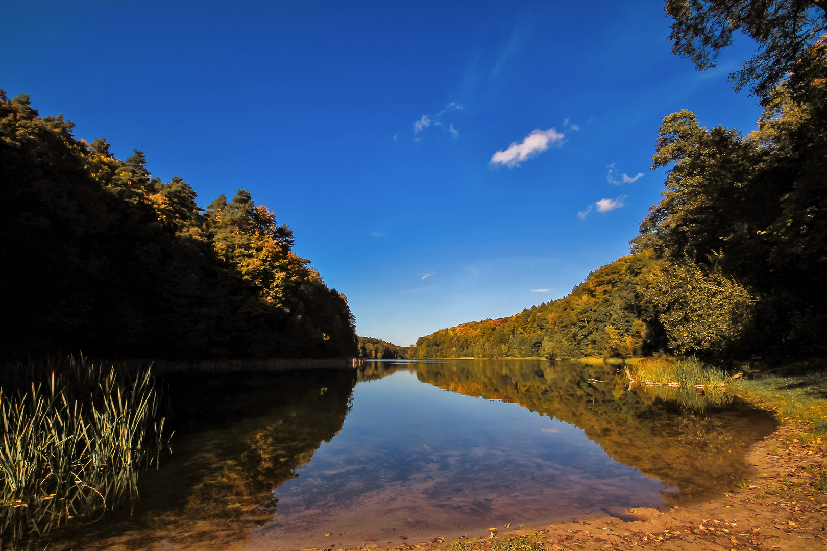 Herbst am Waldsee