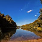 Herbst am Waldsee