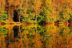 Herbst am Waldsee