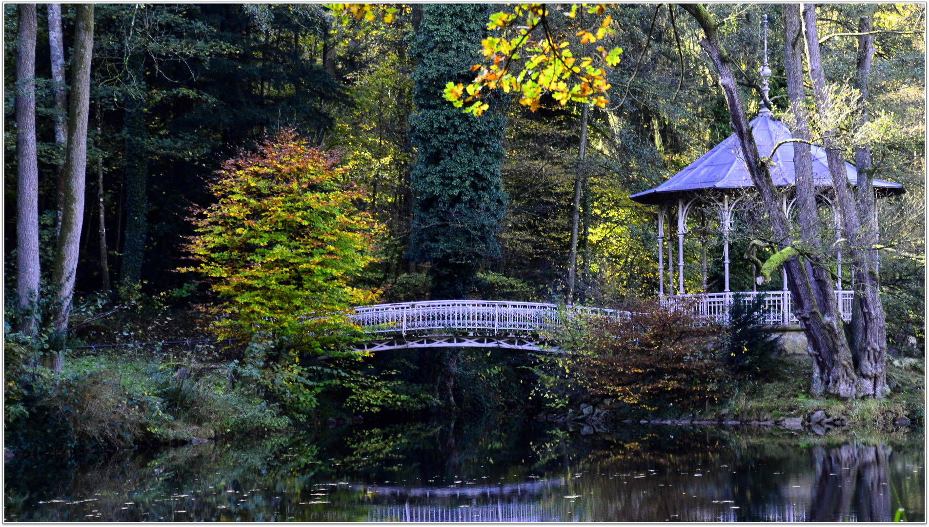 Herbst am Waldsee II