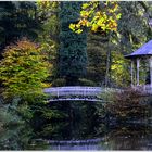 Herbst am Waldsee II