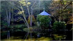 Herbst am Waldsee III