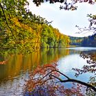 Herbst am Waldweiher