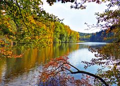 Herbst am Waldweiher