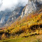 Herbst am Walensee