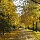 Herbst am Wall