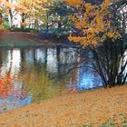 Herbst am Wallgraben