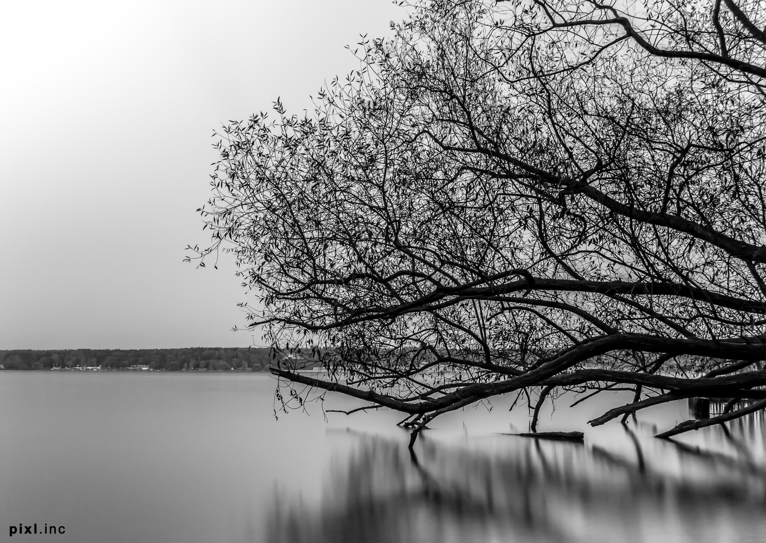 Herbst am Wannsee