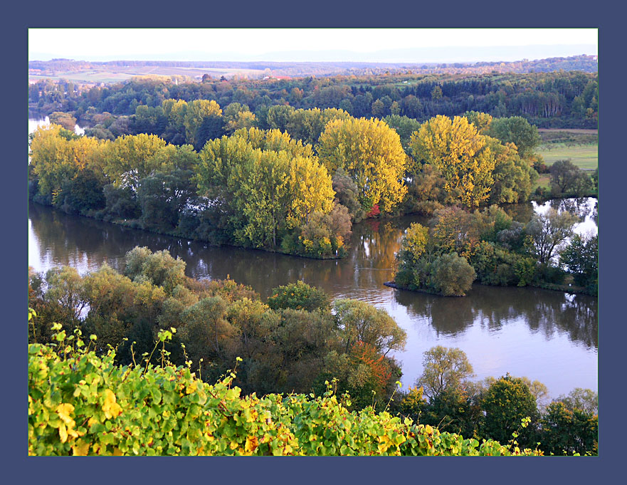 Herbst am Wasser