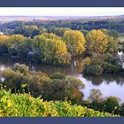 Herbst am Wasser